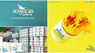 Pemjolad Paints: Changing the Painting Narratives in Nigeria
