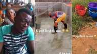 "What a life": Nigerian man who thought big companies would look for him after school becomes fish farmer