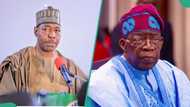 “Will entirely cripple the North”: Nigerian gov Zulum rejects Tinubu’s tax reform bill, cites consequences