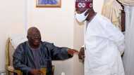 2023: Afenifere denies endorsing any candidate for presidency