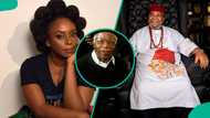 Chimamanda Adichie headlines Things Fall Apart Festival, Pete Edochie, others honour Chinua Achebe