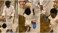 Zlatan Ibile disappointed as his 1-year-old son picks cheese balls over dollars in video, calls him 'omo ase'