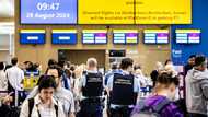 Flights resume after outage paralyses Dutch airport, services