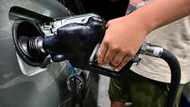 Oil demand growth slowing, China consumption dips: IEA