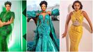 Kim Oprah, Erica, Nengi, other stunning ex-beauty queens who have graced the BBNaija show