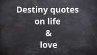 Best destiny quotes on life and love that will transform your life