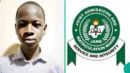 2025 UTME: UNILORIN Secondary School Celebrates Students Who Got Above 300, Displays Their Scores