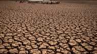 Rich nation 'gestures' on climate damage only a start: observers