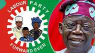 "Nigerians not feeling the impact": LP probes Tinubu gov't's N4.3tn palliatives