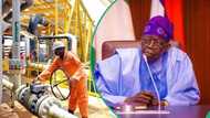 Full list: 31 companies secure 37 oil and gas blocks in Nigeria's biggest licensing round