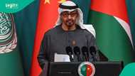 UAE announces harsh penalty for companies that hire foreigners without work permits