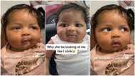 "She looks like a doll": Newborn with funny face rolls her eyes, squeezes mouth as mum talks in video