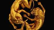 Beyoncé - Brown Skin Girl: this song will make your day