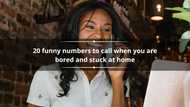 20 funny numbers to call when you are bored and stuck at home