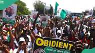 2027 election: Obidient Peoples Party among 110 associations seeking INEC’s registration