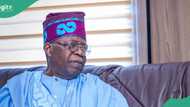 Just In: Tinubu told to cut short private Paris trip, return to Nigeria, reason emerges