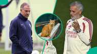 La Liga: Mysterious cat predicts El Clasico between Barcelona and Real Madrid