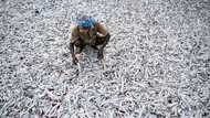 Indian readies for punishing US tariffs