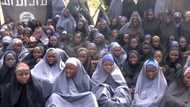 A Decade On, Still Missing: MMF CEO Warns Chibok Is Now a Metaphor for Neglect
