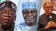 Tinubu vs Peter Obi/Atiku: Prophet speaks on only way president can be defeated in 2027 election