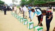 How Nigerian politicians rig elections in 10 ways