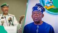 Tinubu's govt lauded over developmental strides in Nigeria Customs: "In less than two years"