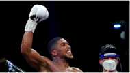 Boxer, Anthony Joshua, buys shares in cannabis company, to own his brand