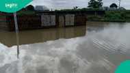 Climate change: Many residents displaced, properties destroyed as floods submerge Sokoto communities