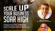 SME Scale-Up: Empowering SMEs for remarkable growth
