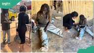 “She was appreciative”: Lady helps mad woman on the street with food, takes her into a shade