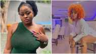 "She threw me under the bus": BBN Amaka reveals Phyna sent her to tell Chichi about her escapades with Groovy