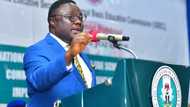 2023: APC governor reveals how his successor will emerge after Ex-President Jonathan's son-in-law declares interest
