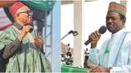 Ex-minister speaks on 2023 elections, reveals how ‘Obidient wave and Obi’ proved APC, PDP wrong