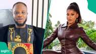 DeeOne challenges Phyna to fight DJ Dimple Npple in boxing match, she responds