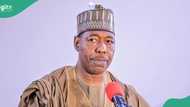 Borno govt reacts to report that Governor Zulum’s son was arrested for murder in India