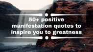 50+ positive manifestation quotes to inspire you to greatness