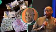 Ex-CBN Deputy Governor Lemo speaks on Tinubu's exchange rates unification as gap widens to N192