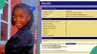 WAEC result 2024: Candidate records E8 in chemistry, passes mathematics with A1