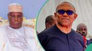 Plot to sack Tinubu: ‘What will happen If Peter Obi runs as VP to Atiku’, Labour Party chieftain explains