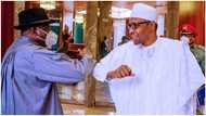 Buhari's Minister blows hot, says money Jonathan left behind couldn’t sustain Nigeria for three weeks