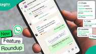WhatsApp introduces 7 new features for calls chats, video, And Channels