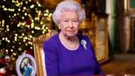 Queen Elizabeth: British government created problems facing Nigeria today, Amechi says