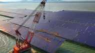 China may strengthen climate role amid US fossil fuel push