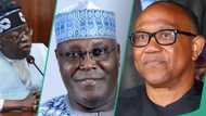 Presidential judgment: Tinubu, Atiku, Peter Obi told what to do if Supreme Court rules otherwise