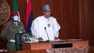 Breaking: President Buhari approves review of grazing reserves in 25 Nigerian states