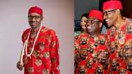 How Buhari chose Igbo woman as VP before she rejected - Presidency