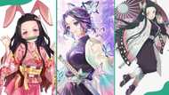 Top 10 strongest female Demon Slayer characters ranked by their power and prowess