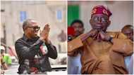 "Russian boy" hacked INEC's website, released ‘authentic’ 2023 election results? Fact emerges