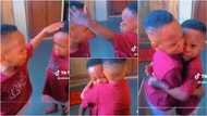 "This is pure love": Twin Toddlers show incredible bond, rub each other's heads & hug in tears to settle fight