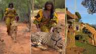 Into the wild: Model filmed walking with lions in video, social media users crown her 'Black Princess'